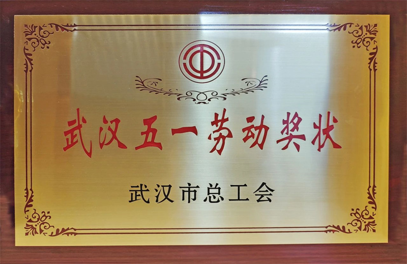 2025年6月，武汉市总工会公布2024年度劳动和技能竞赛获奖名单，中天六建荣获